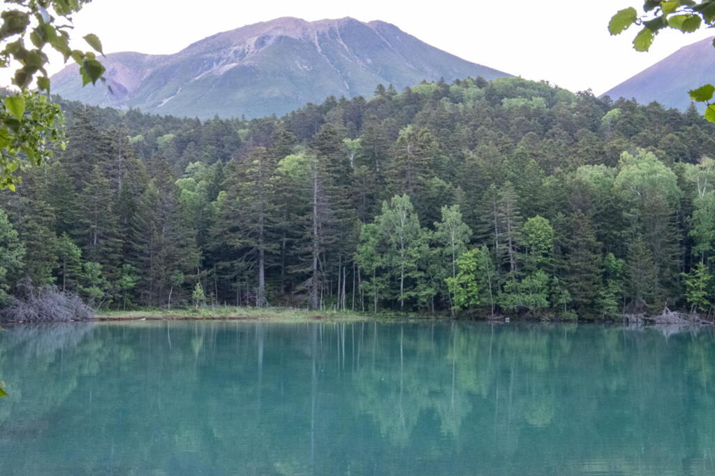 雌阿寒岳と森と蒼い湖面