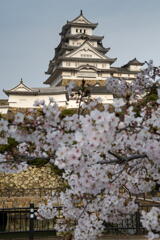 白鷺城と桜　その１　東から