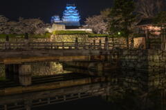 姫路城で観桜　その１