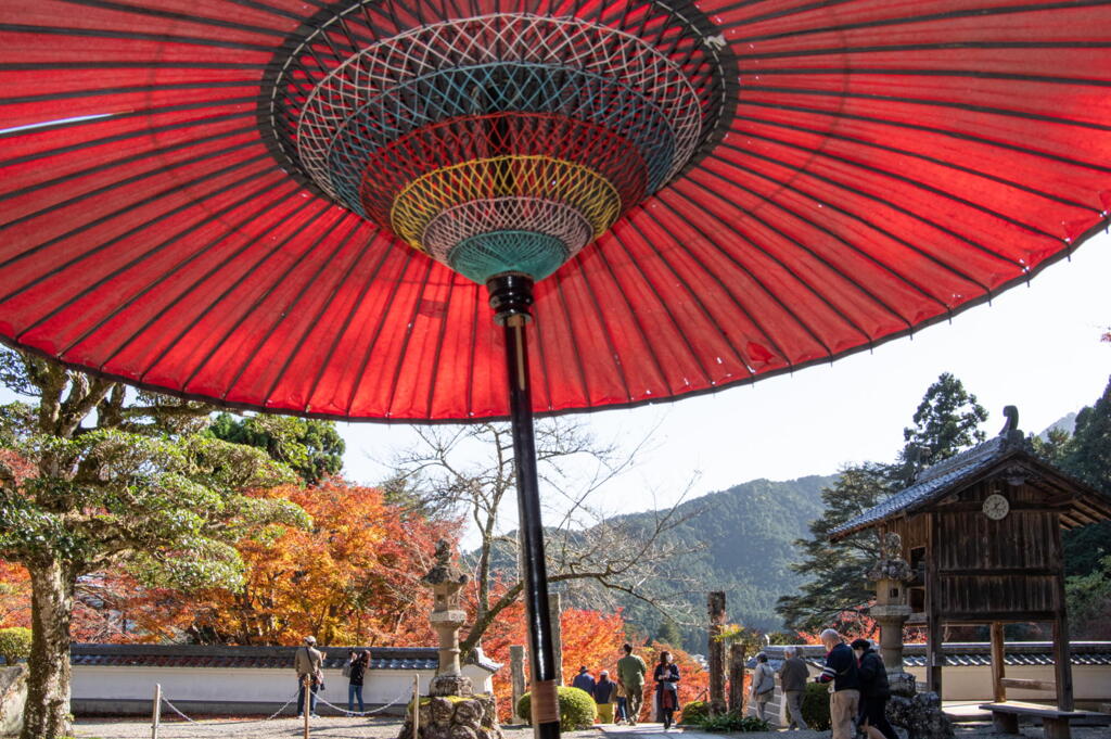 丹波の円通寺　休憩所の和傘