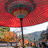 丹波の円通寺　休憩所の和傘