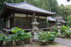善祥寺　本堂