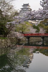 姫路城で観桜　その５