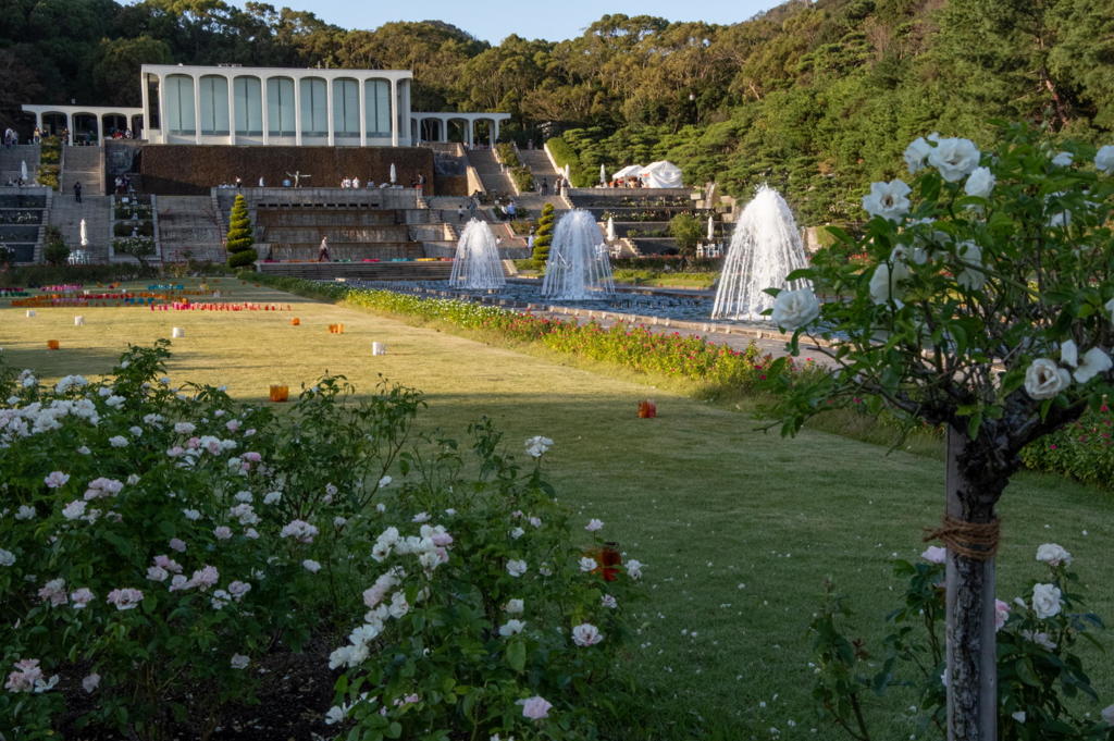 2018 秋薔薇フェス 離宮公園
