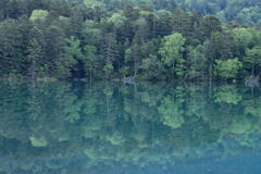 阿寒の湖 オンネトーの水鏡