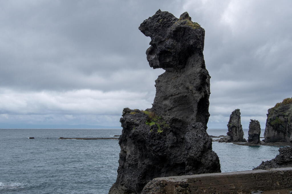 松前半島西岸の奇岩　その２　ゴジラ