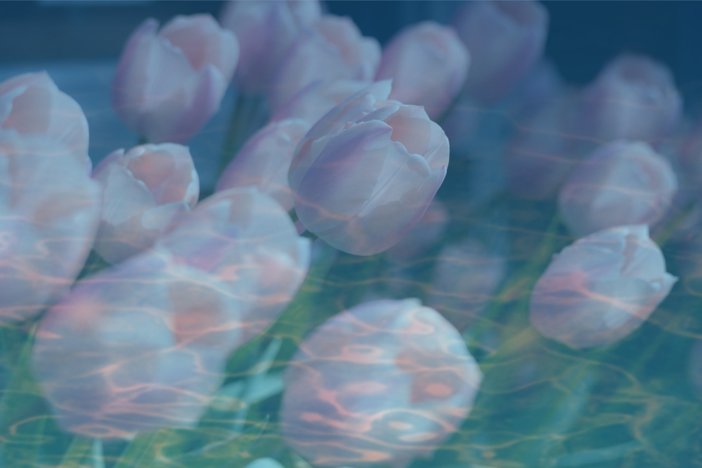 コラージュ　愛の水中花