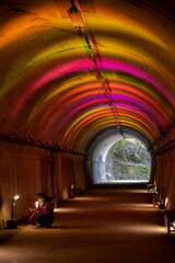 神戸市立森林植物園　青葉トンネル　秋色のライトアップ