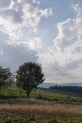 拓真館周辺　その１