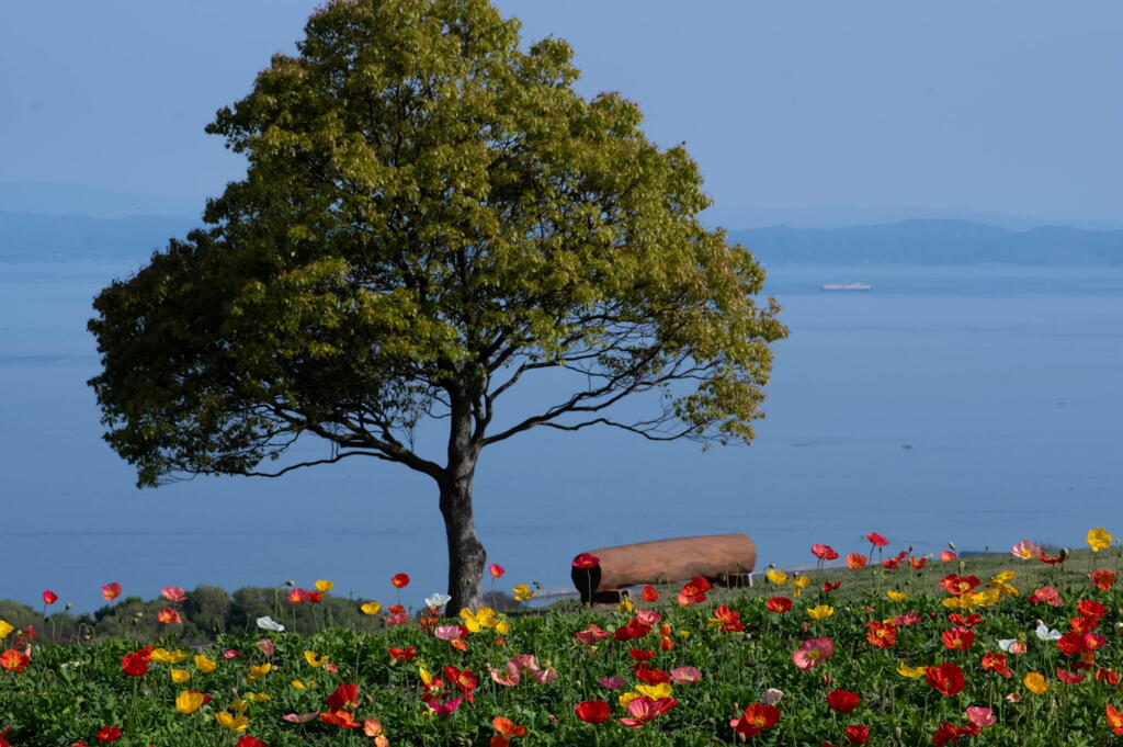 あわじ花さじき　ちょっと海外リゾート風