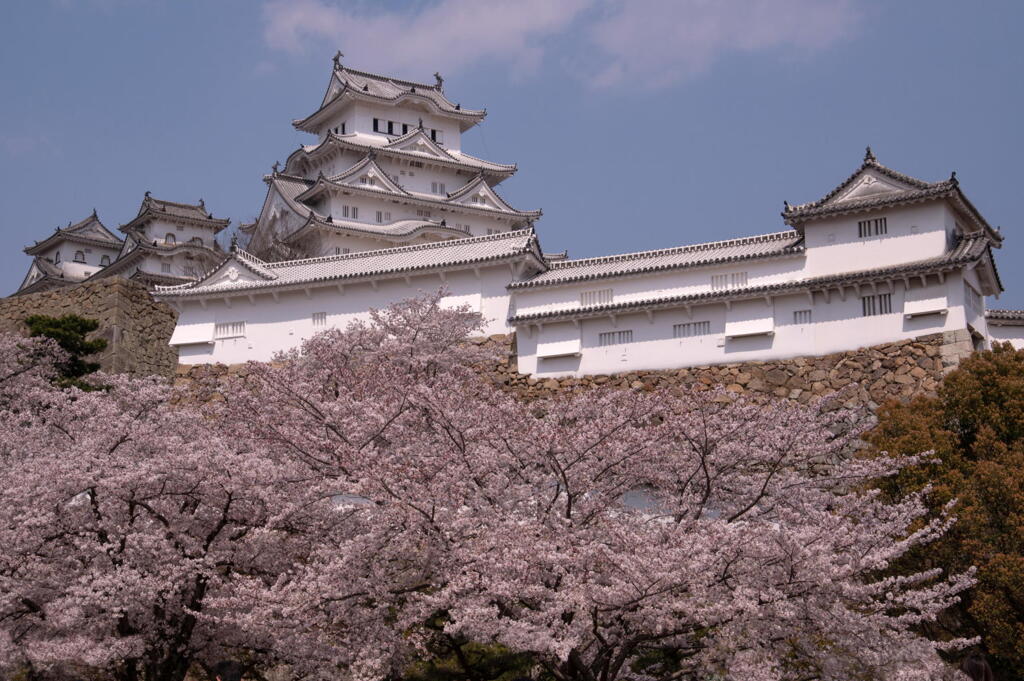 姫路 桜と青空に映える白鷺城