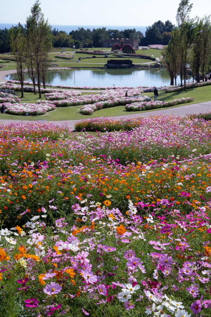明石海峡公園　花園の肖像