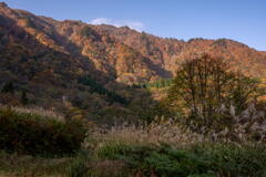 兵庫県の最高峰 氷ノ山の紅葉　その５