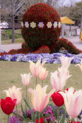 明石海峡公園