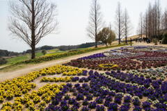 大阪湾を見下ろす春の花壇