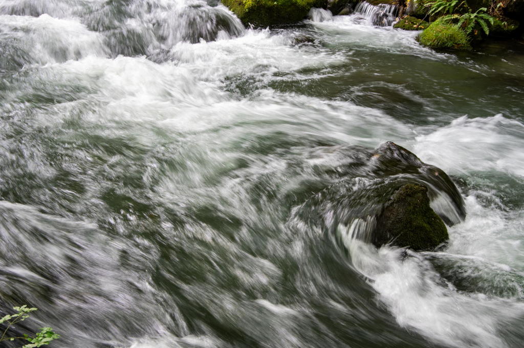 2018 東北の紅葉 奥入瀬渓流
