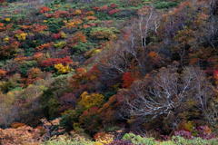 2018 東北の紅葉 栗駒山