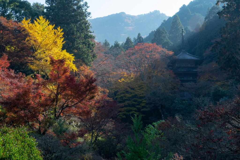 丹波　高源寺　山間の明暗