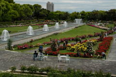 離宮公園　春薔薇の宴　全景