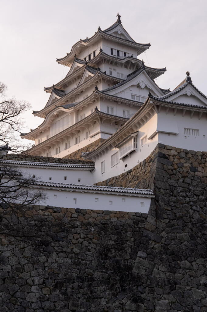 白鷺城　天守を仰ぐ　