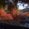 丹波　円通寺　紅葉と放生池