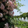 須磨離宮公園　薔薇と噴水