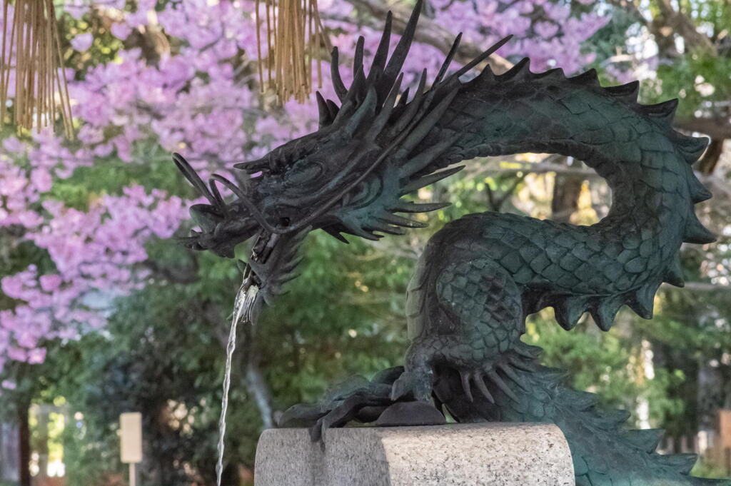 護国神社の手水