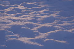 雪面の煌めき
