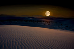 7～8月　夜の白砂の砂丘に月光が満つる