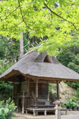 善祥寺　熊野権現の社
