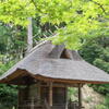 善祥寺　熊野権現の社