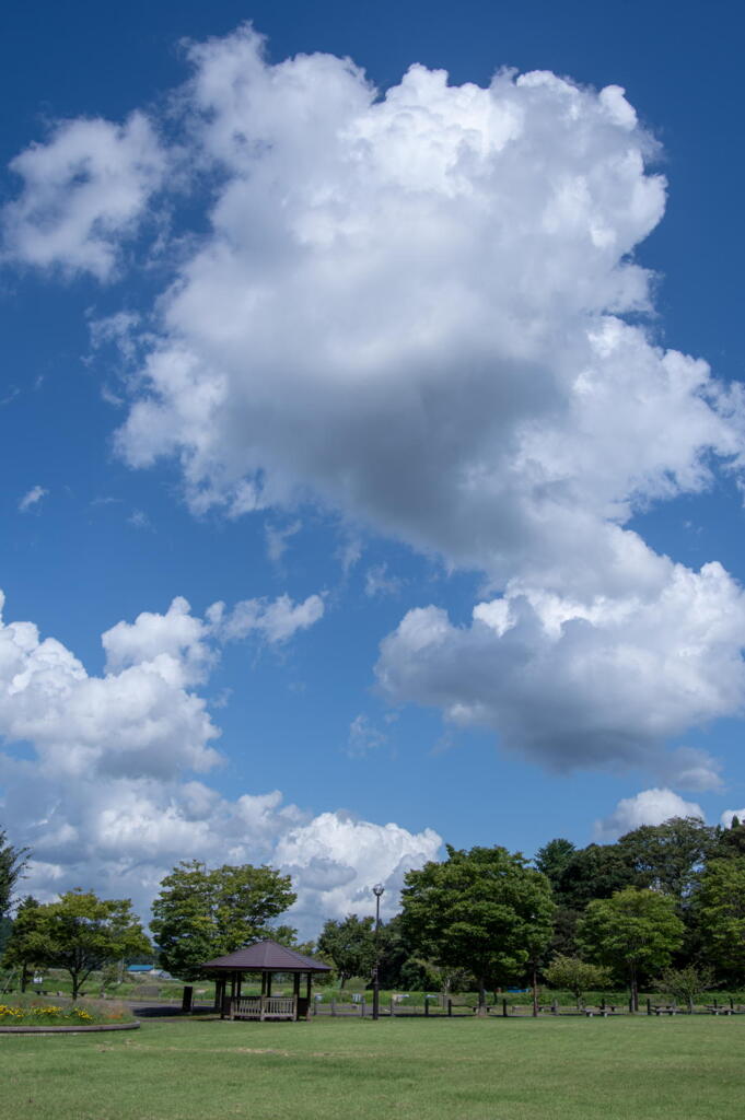 秋空　すかっと爽やか！