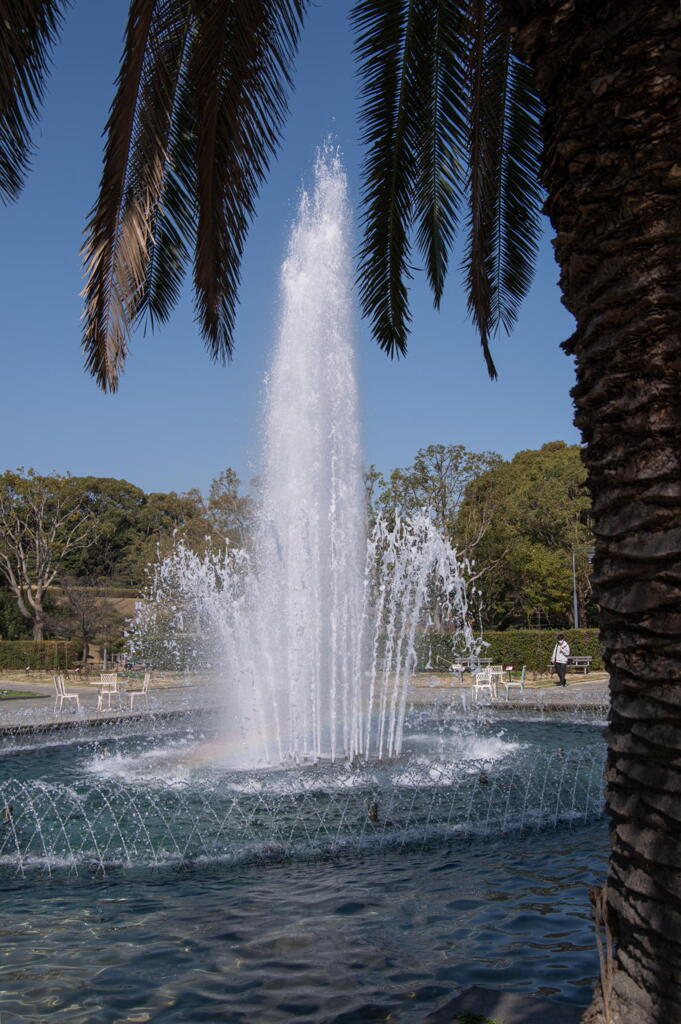 須磨離宮公園　噴水も上機嫌