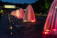 2018 秋薔薇フェス 離宮公園