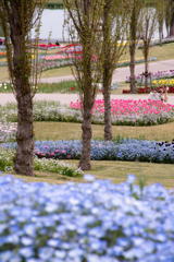 明石海峡公園