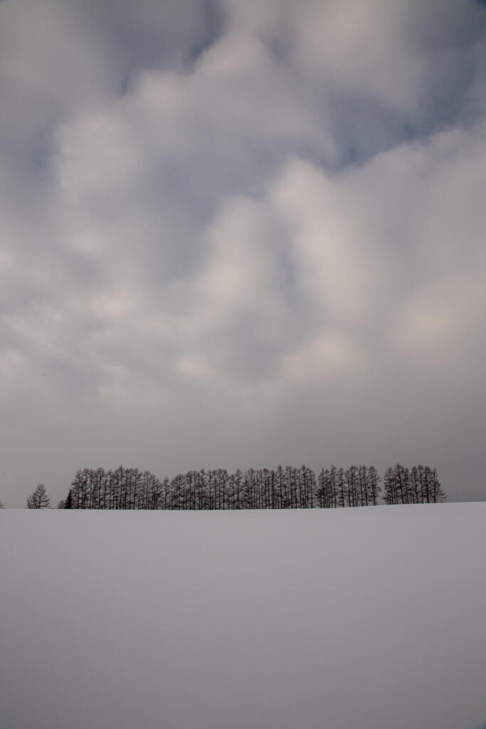 2012.12　美瑛の穏やかな冬景色　その５