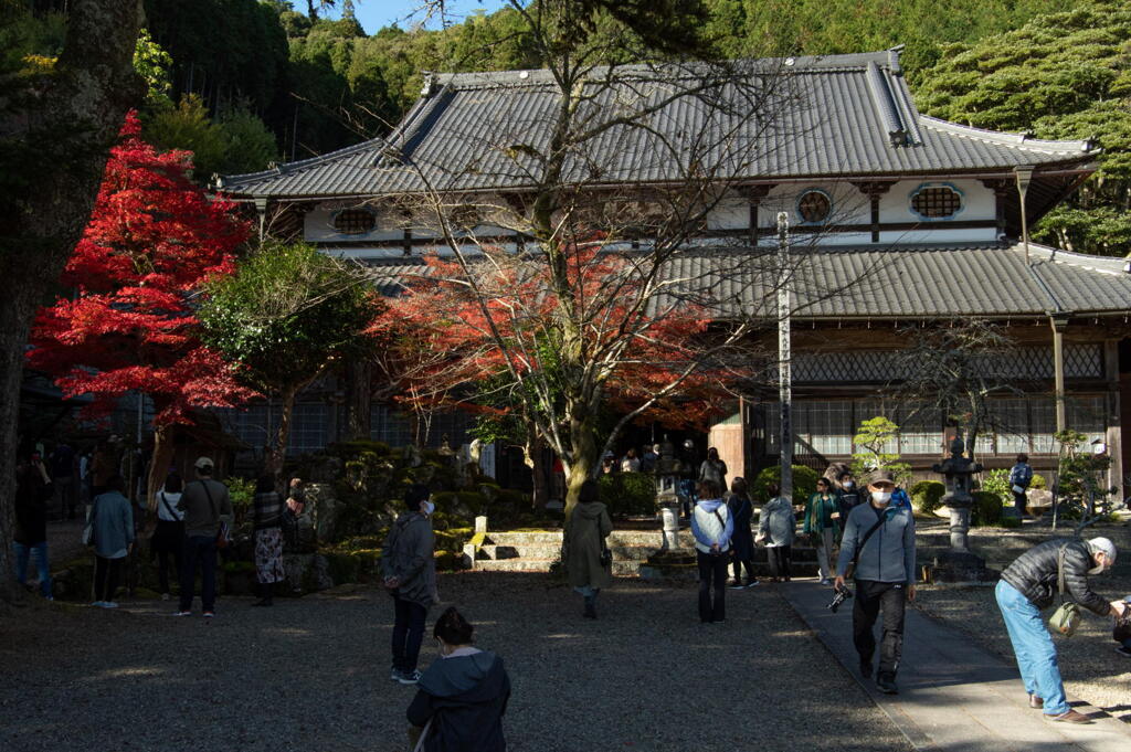 丹波の円通寺　賑わう本堂