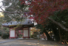 光明寺
