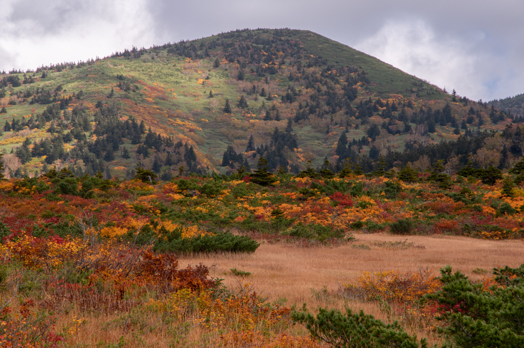 9～10月　八甲田の紅葉