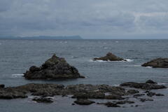 北海道の南端　白神岬　竜飛岬を見やる