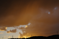 IMGP8447