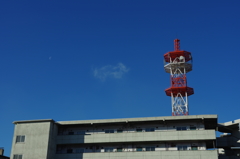 IMGP3095