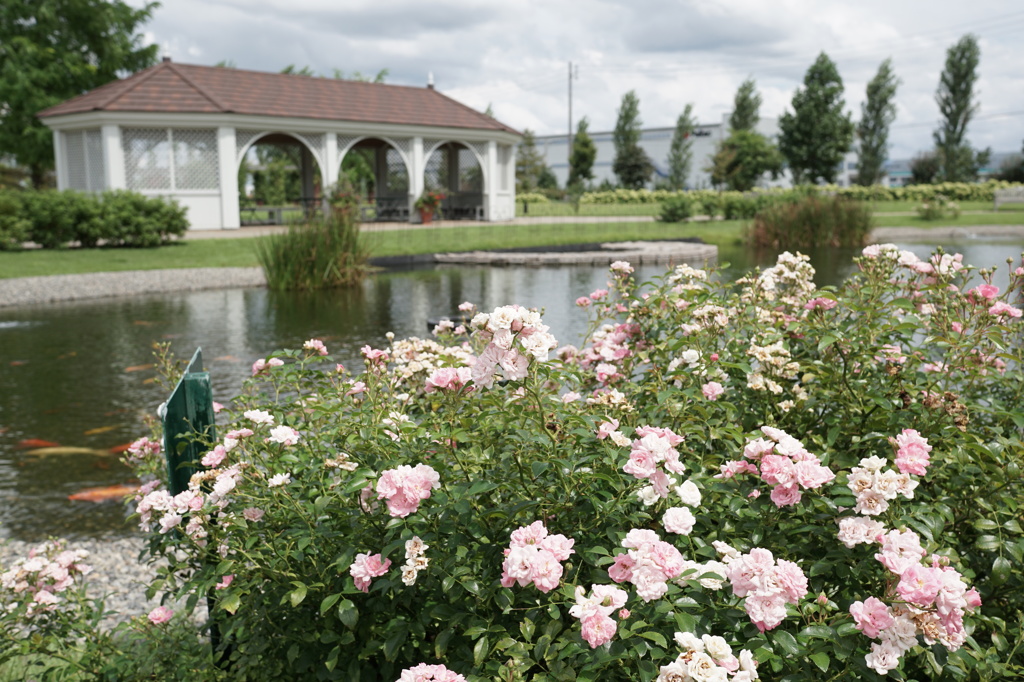 みつけイングリッシュガーデン