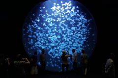 鶴岡市立加茂水族館