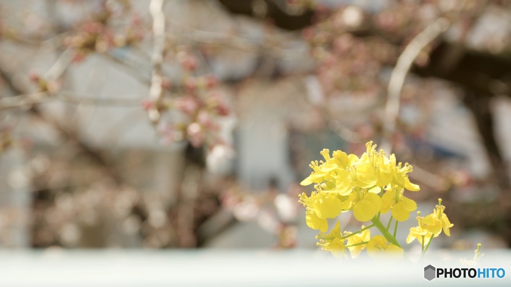 な花は