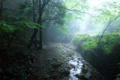 大山の川