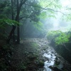 大山の川
