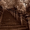 大山の石段
