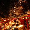雪の京都4