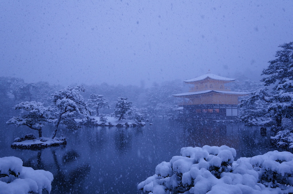 金色と吹雪2